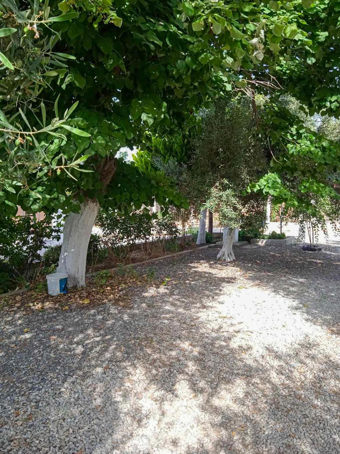 Κυανή Ακτή - Agia Paraskevi Makri Luaran gambar