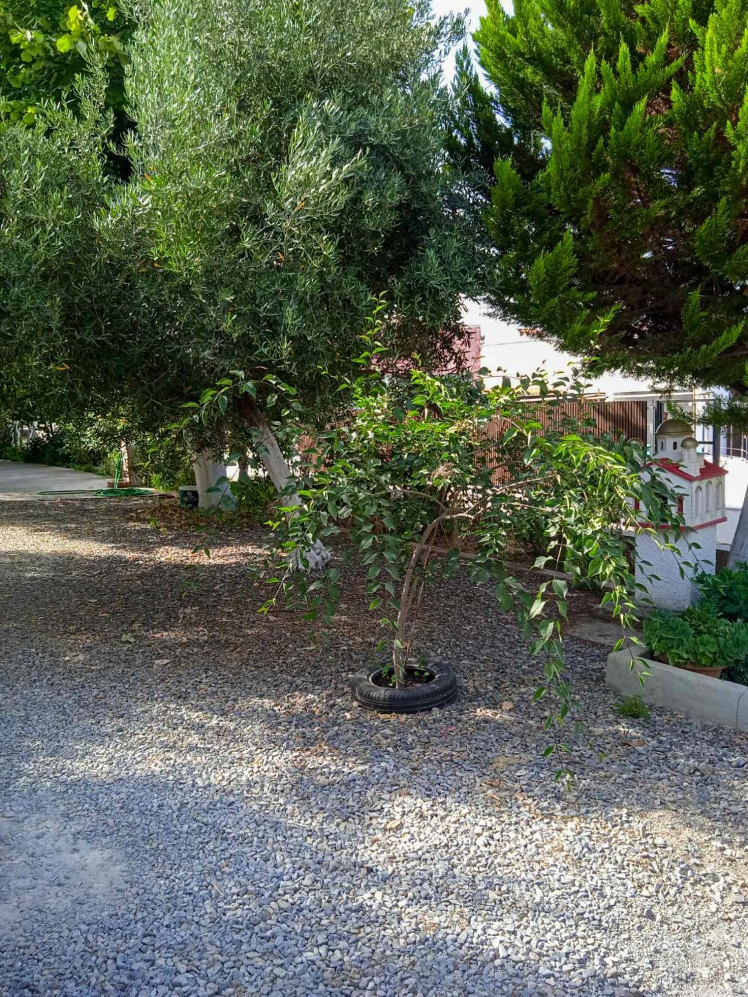 Κυανή Ακτή - Agia Paraskevi Makri Luaran gambar